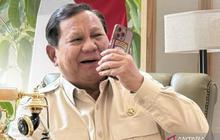 Presiden Prabowo Perkuat Solidaritas Indonesia Palestina Lewat Telepon Idul Fitri