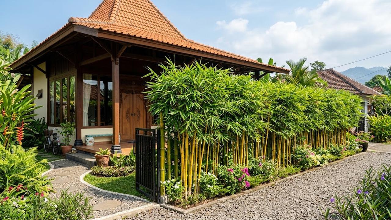 Pagar Hidup dari Bambu Kuning/AI Generated