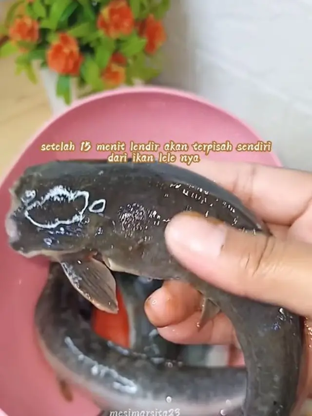 Cuma Pakai 2 Bahan, Begini Cara Hilangkan Lendir pada Ikan Lele Tanpa Perasan Jeruk Nipis