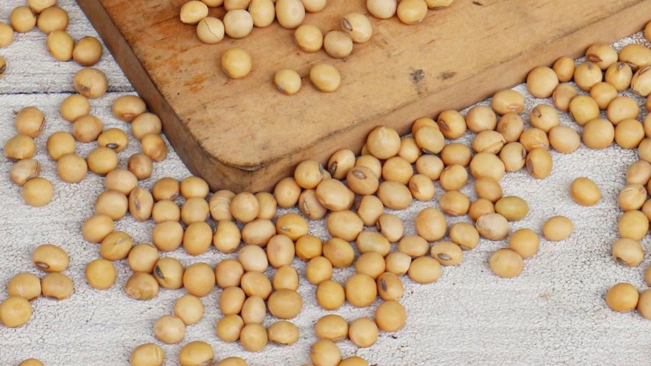 7 Macam Produk Nabati Pengganti Susu Sapi dan Manfaatnya