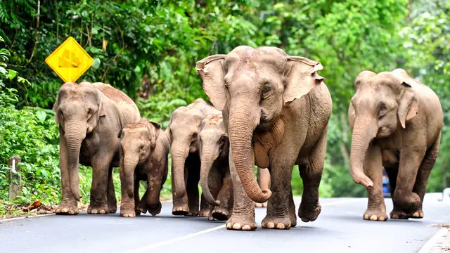 Thailand