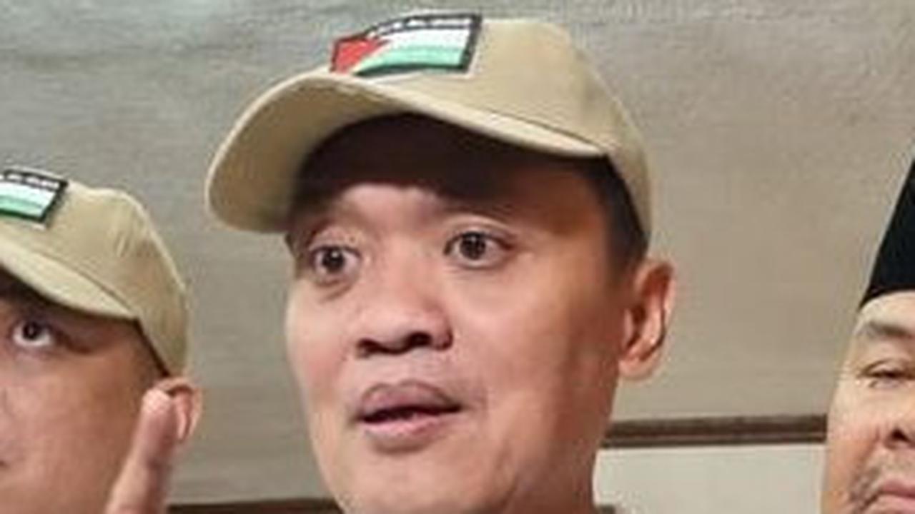 Soal Presiden Boleh Kampanye, TKN Contohkan Megawati dan SBY