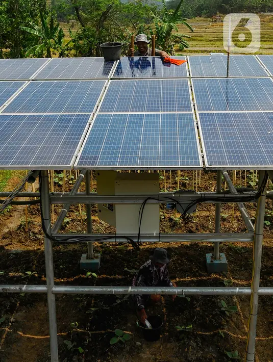 Pengembangan energi surya masih minim di Indonesia padahal berpotensi mendorong mencapai target nol emisi karbon (net zero emission/NZE) dari sektor energi. (merdeka.com/Arie Basuki)