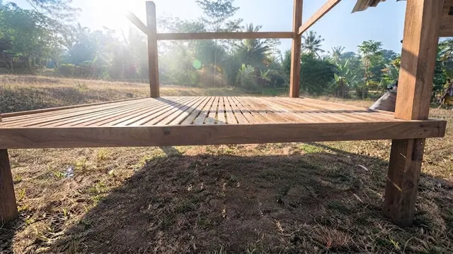 Cara Membuat Kandang Ayam dengan Sirkulasi Udara yang Baik agar Tidak Pengap dan Bau