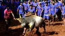 Para peserta mencoba menaklukkan seekor banteng di festival tahunan menjinakkan banteng, Jallikattu, di Desa Avaniyapuram di pinggiran Madurai, Negara Bagian Tamil Nadu, India, Rabu (15/1/2020). Mereka berusaha untuk menaklukkan banteng dengan memegang tanduknya kuat-kuat. (Xinhua/Stringer)