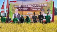 Gubernur Jawa Timur, Khofifah Indar Parawansah (Tengah) lakukan panen perdana padi verietas unggul di Situbondo (Hermawan Arifianto/Liputan6.com)