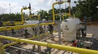 PT Pertamina Hulu Energi (PHE) melalui anak perusahaannya, Pertamina Hulu Energi Randugunting (PHER), mulai mengoperasikan fasilitas produksi sumur gas Randugintung di Rembang, Jawa Tengah.