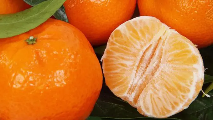 Copyright: pixabay.com