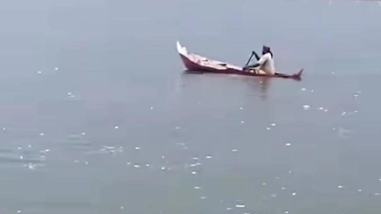 Viral Ribuan Ikan Tambak Mati di Demak, Penyebabnya Bukan Air Tercemar