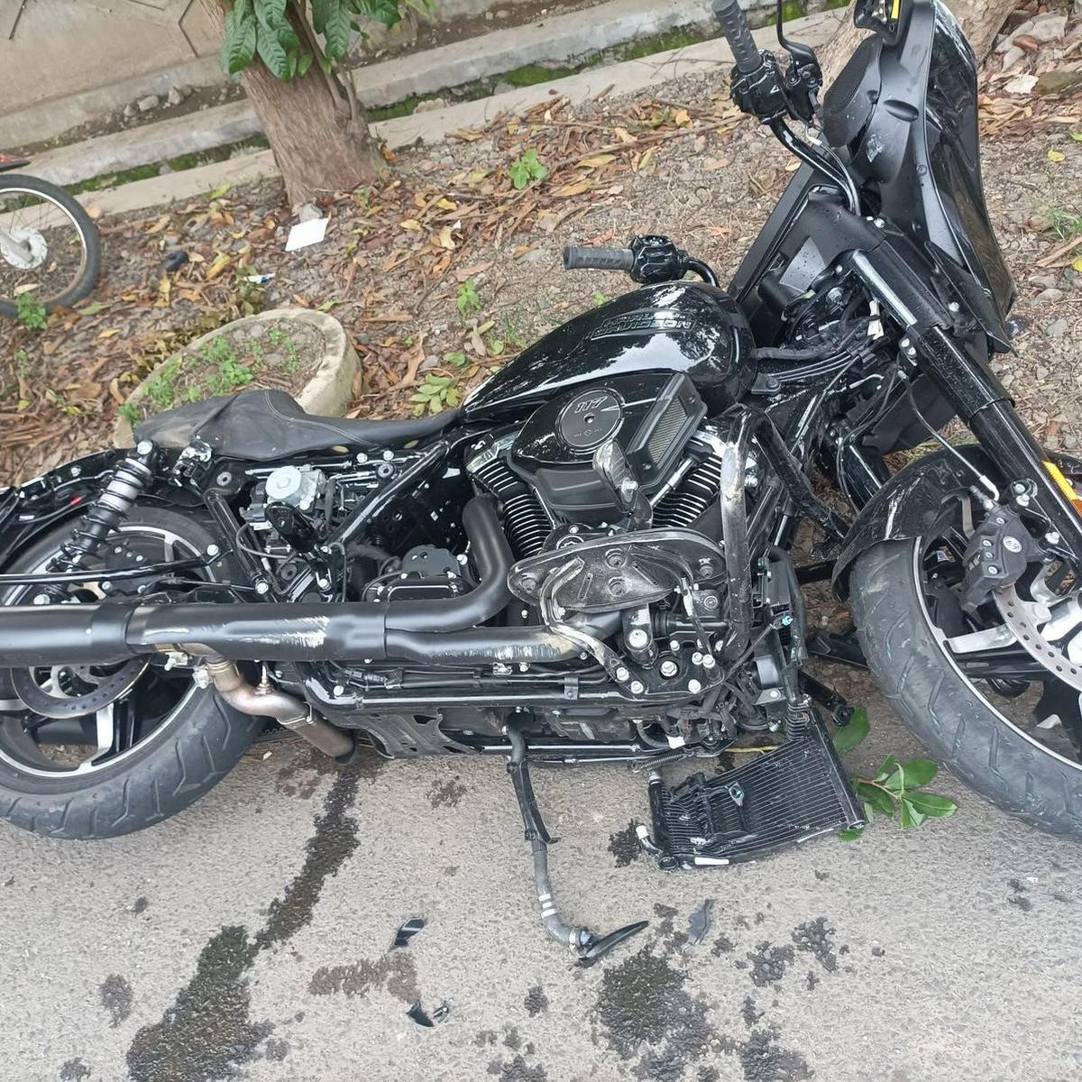 Harley Bendum Demokrat