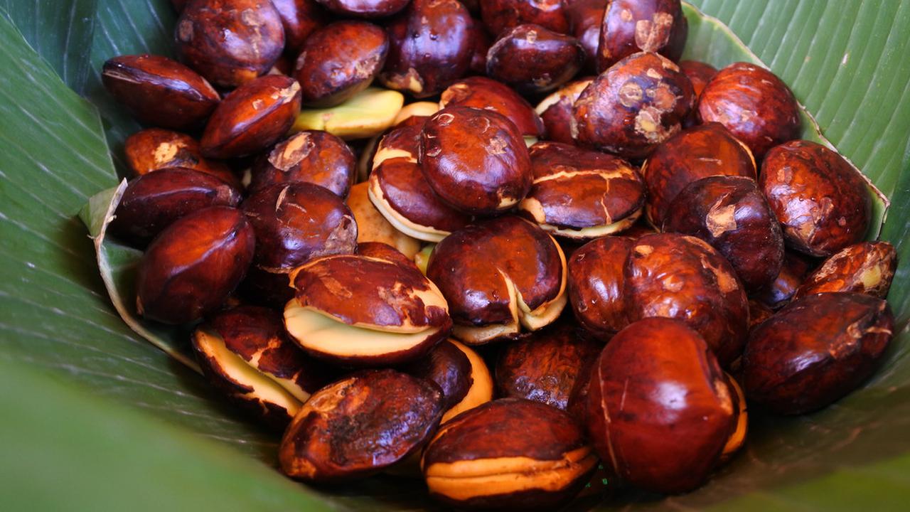 Apakah Jengkol Menyebabkan Darah Tinggi? Fakta dan Mitos Seputar Konsumsi Jengkol