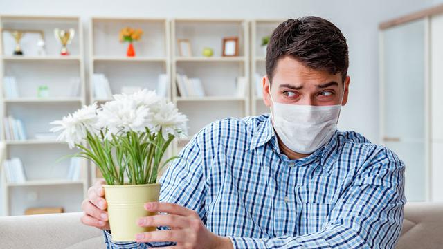 Penyebab Penyakit Asma dan Pengobatannya