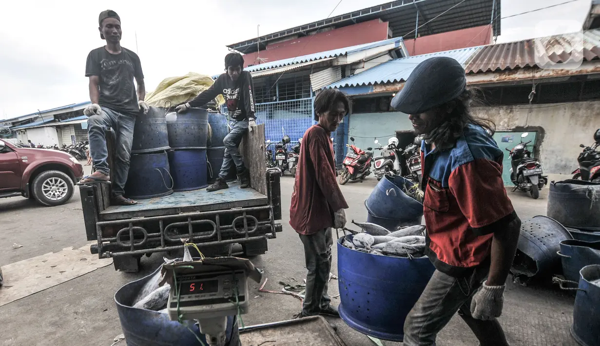 Nelayan menurunkan ikan di Pelabuhan Muara Baru, Jakarta, Kamis (5/8/2021). Berdasarkan survei KNTI yang dilakukan 5.292 responden nelayan di 25 wilayah di Indonesia, sebagian besar nelayan tradisional mengaku 78,43 persen hasil tangkapan berhasil terserap oleh pasar. (merdeka.com/Iqbal S. Nugroho)