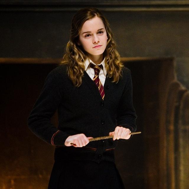 Hermione granger + breaking the rules. 
