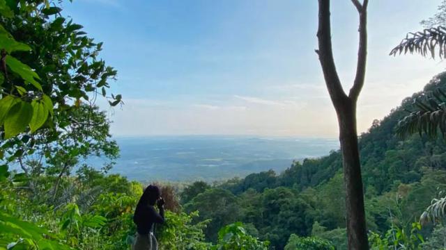 Pendakian ke Gunung Betung di Lampung