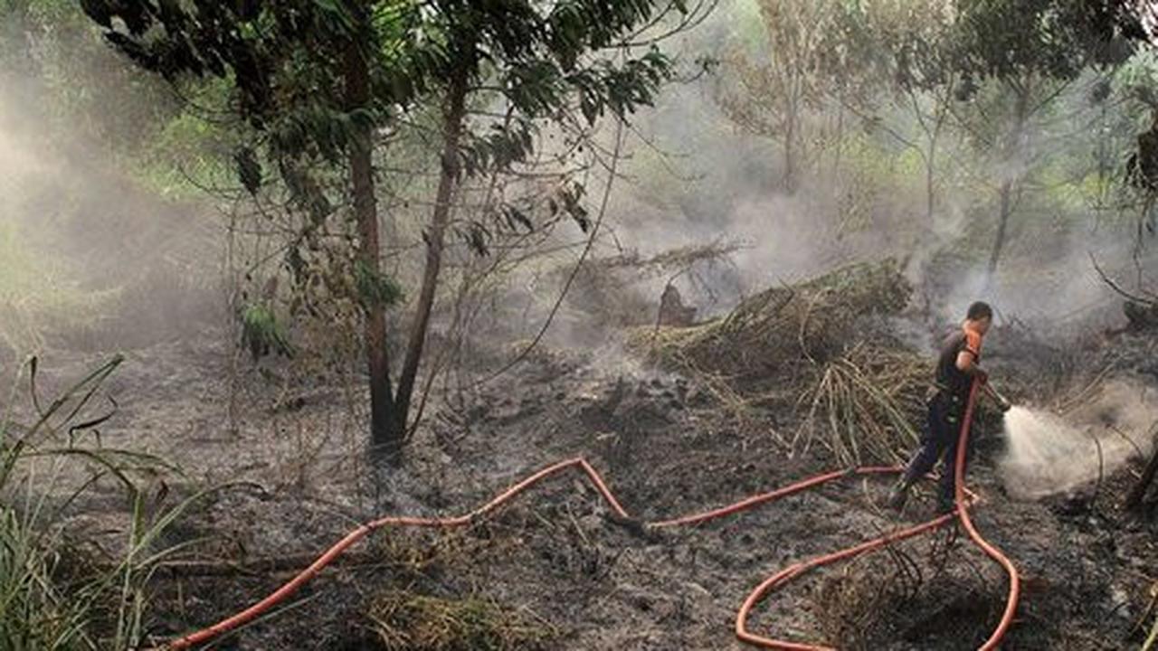 Bareskrim tetapkan 107 tersangka pembakar hutan