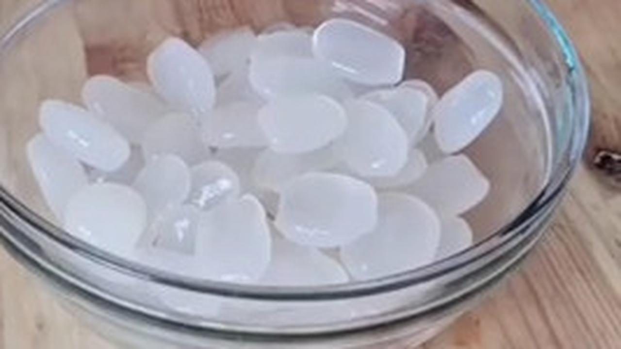 Kolang-Kaling dan Asam Urat, Mengungkap Potensi Manfaat yang Tersembunyi