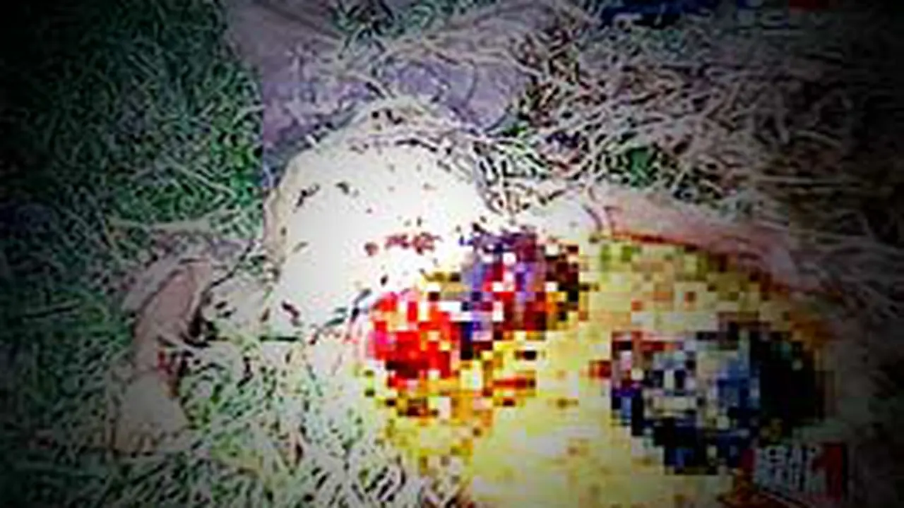 040502cderap.jpg