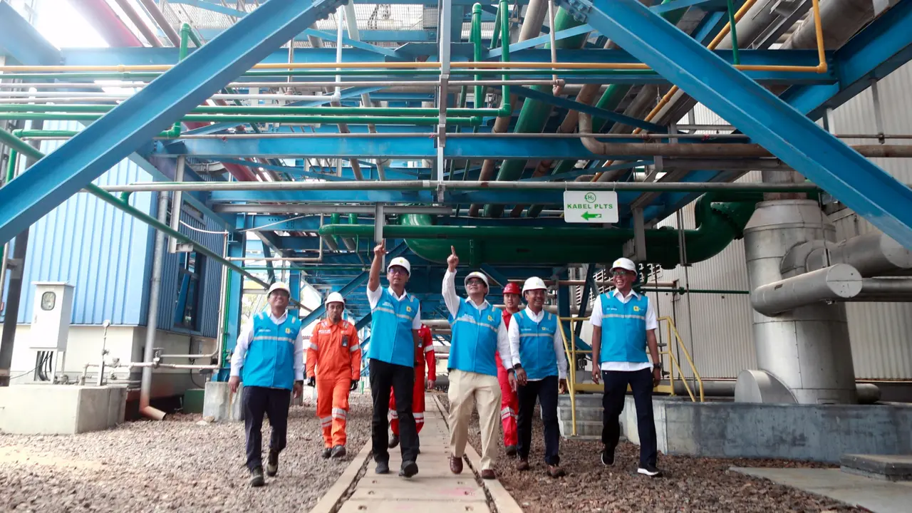 PLN