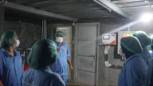 Penerapan Modern Farming dalam Budidaya Ayam Probiotik Berkualitas