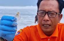 Puluhan Wisatawan Tersengat Ubur-Ubur di Pantai Selatan DIY, Anak-Anak Kira Binatang di Film Spongebob