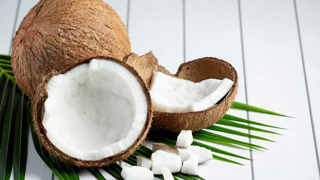 Ilustrasi Buah Kelapa