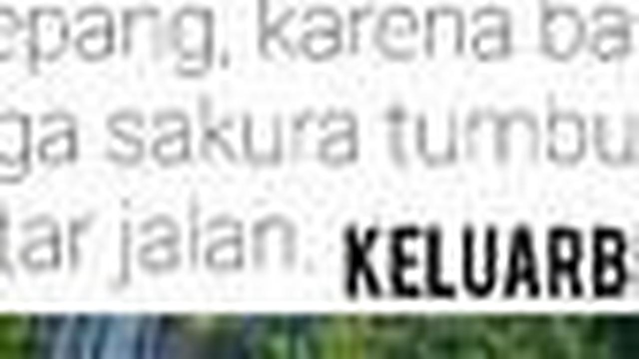 Keren Banget, Magelang Vibesnya Kayak di Jepang