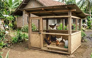 8 Desain Kandang Ayam Kampung Sederhana untuk 10 Ekor, Murah dan Praktis