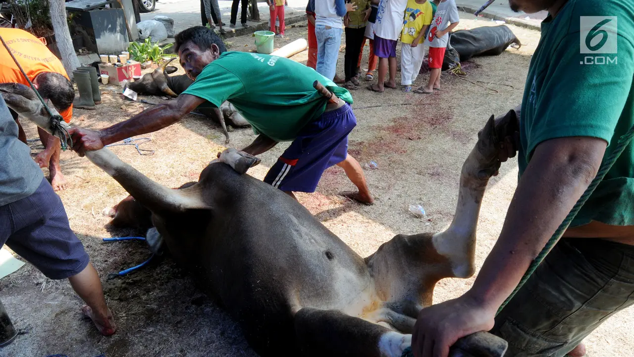 Semarak Idul Adha 2018, Warga Gotong Royong Distribusikan Daging Kurban