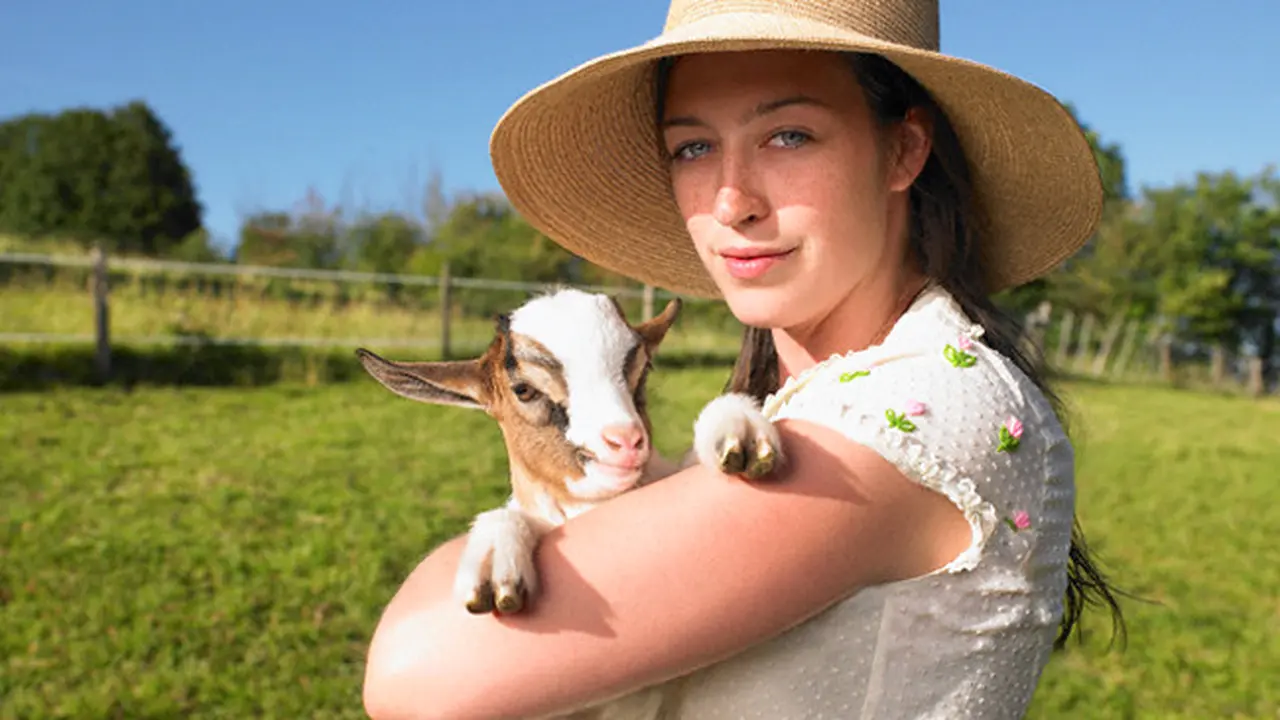 Lowker, Peternakan Ini Cari Pengasuh 90 Anak Kambing
