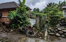 9 Bagian Halaman Rumah yang Berpotensi Jadi Tempat Persembunyian Ular saat Musim Hujan