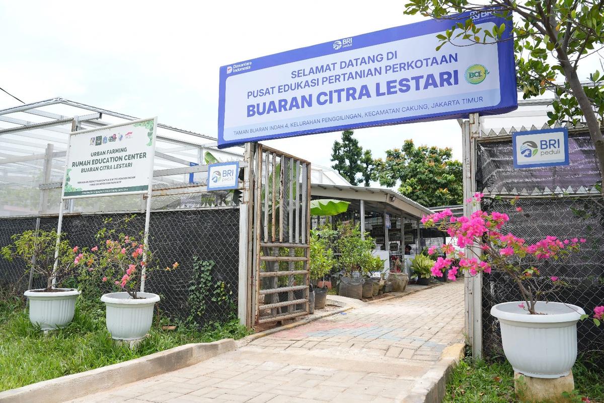 Kisah Inspiratif KWT Buaran Citra Lestari Manfaatkan Lahan Sempit untuk Tanaman Produktif