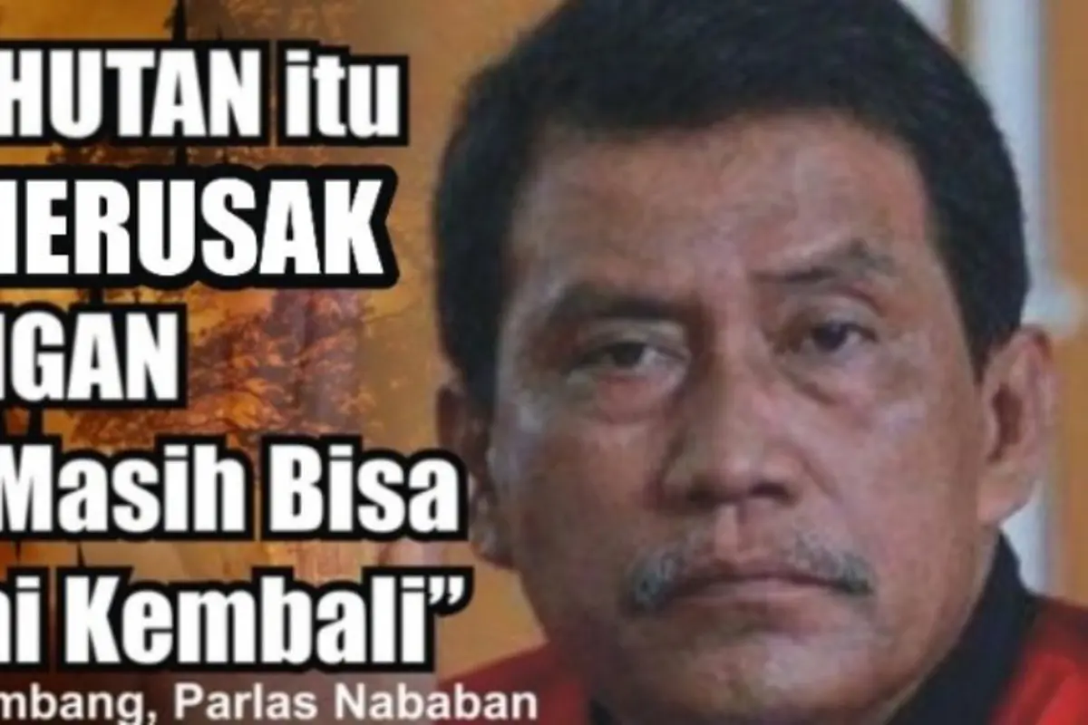 Ketika Hakim Parlas Sebut Pembakaran Hutan Tidak Rusak Lingkungan