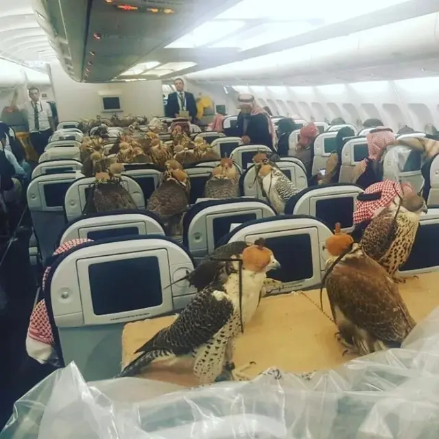 Bukti kekayaan yang dimiliki Crazy Rich Arabians