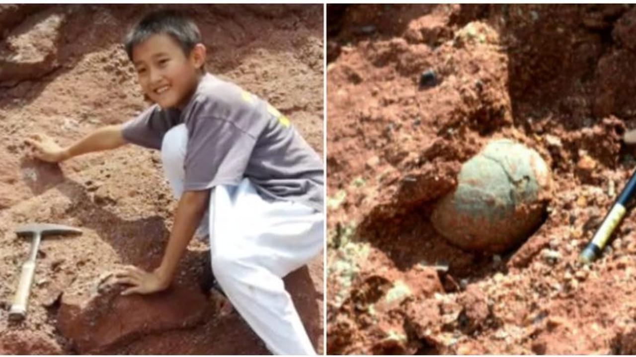 Asyik Main Tanah, Bocah Malah Temukan Telur Dinosaurus