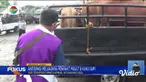 Perbarui informasi Anda bersama Fokus edisi (13/05) dengan berita - berita sebagai berikut, Rumah Rusak Tersambar Petir, Pengecekan Sapi Lintas Kota Cegah PMK, Tradisi Berbagi Kuah Beulangong.