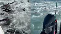 Nelayan Ini Panik Dikepung Puluhan Hiu saat Melaut (Sumber: Storyful via New York Post)