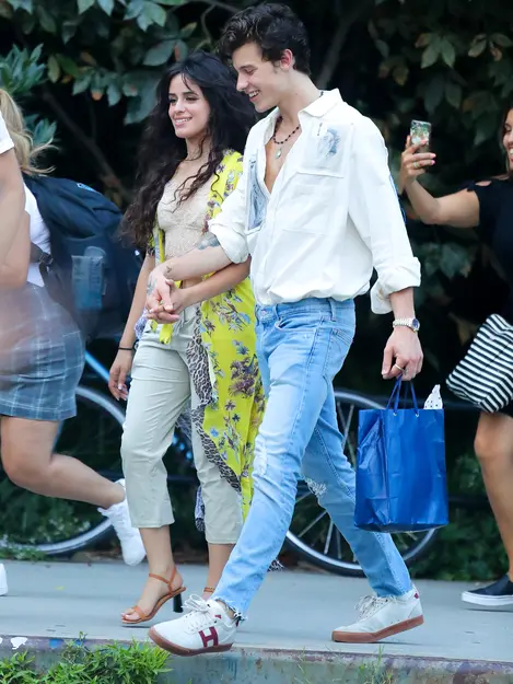 Potret Lain Camila Cabello Dan Shawn Mendes Saat Tampil Di Publik News Entertainment Fimela Com