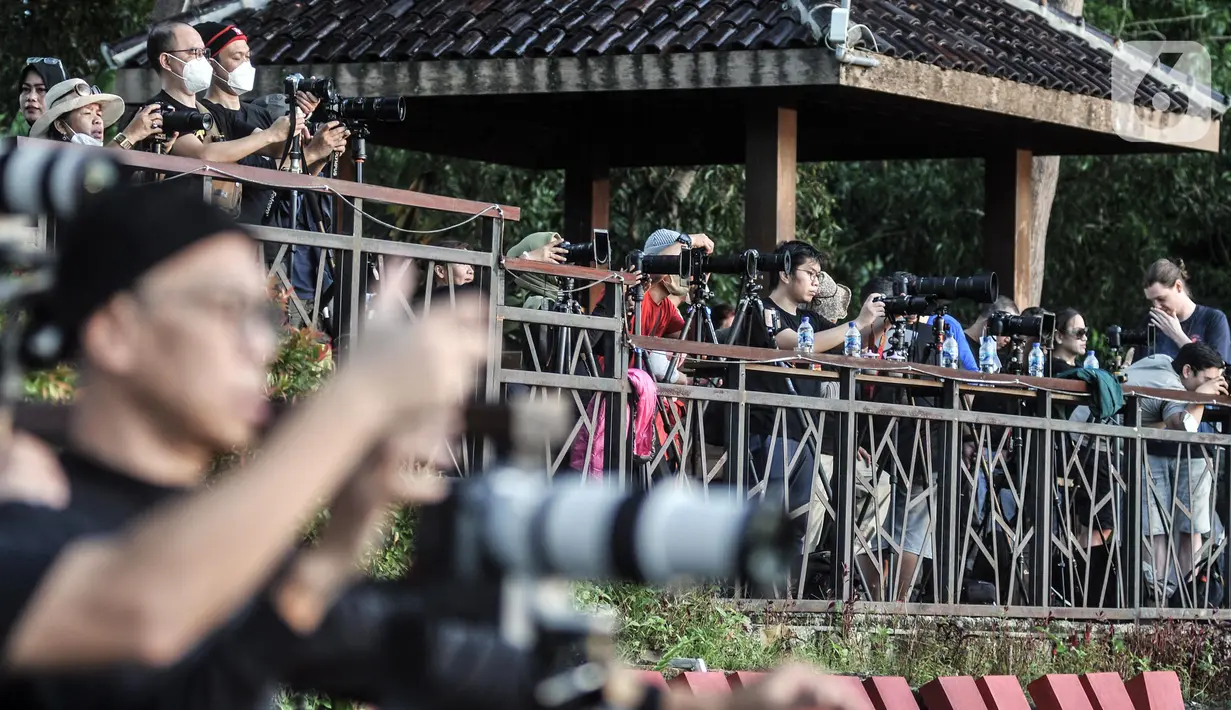 <p>Wisatawan saat mengabadikan momen matahari terbit atau sunrise dengan latar belakang Candi Borobudur di Punthuk Setumbu, Karangrejo, Magelang, Jawa Tengah, Senin (16//5/2022). Punthuk Setumbu menjadi destinasi favorit di Jawa Tengah, terlebih saat libur Waisak yang terkenal dengan keindahan alam Candi Borobudur dan sekitarnya saat matahari terbit. (merdeka.com/Iqbal S. Nugroho)</p>