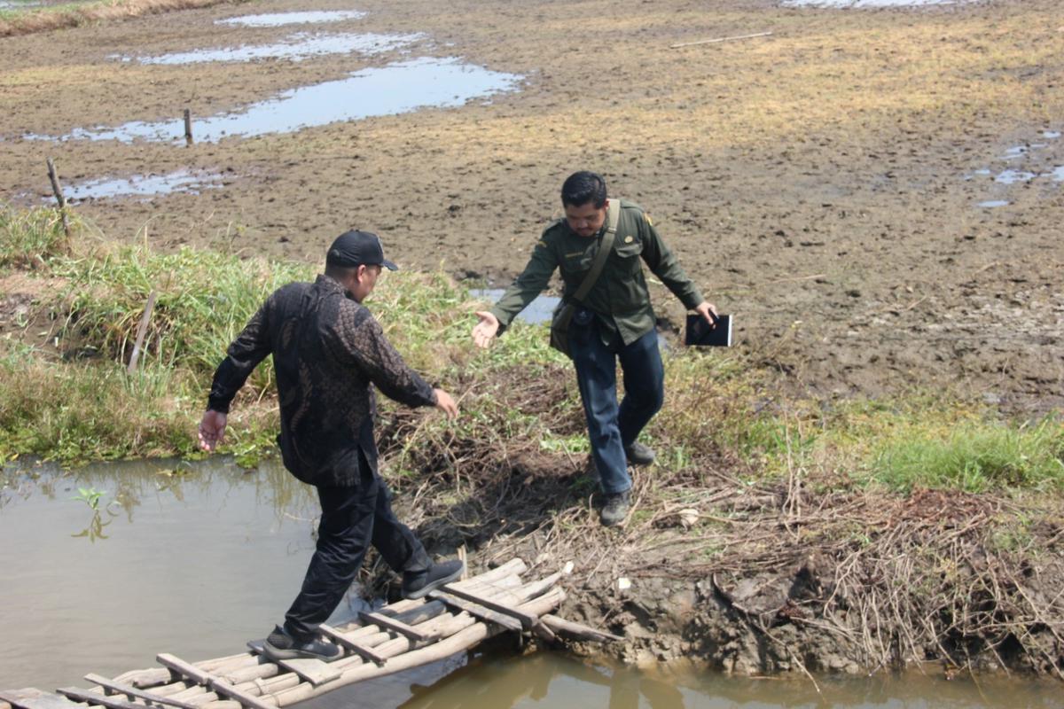 Tantangan Indonesia dalam mewujudkan ketahanan pangan