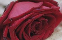 7 Doa Agar Cantik Bercahaya dan Disukai Banyak Orang, Mudah Dihafalkan