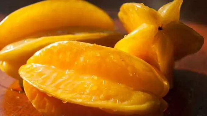 Ilustrasi/Pixabay.com