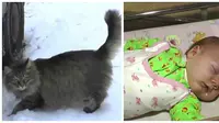 Kucing Liar Ini Selamatkan Bayi Kedinginan dengan 'Pelukan'