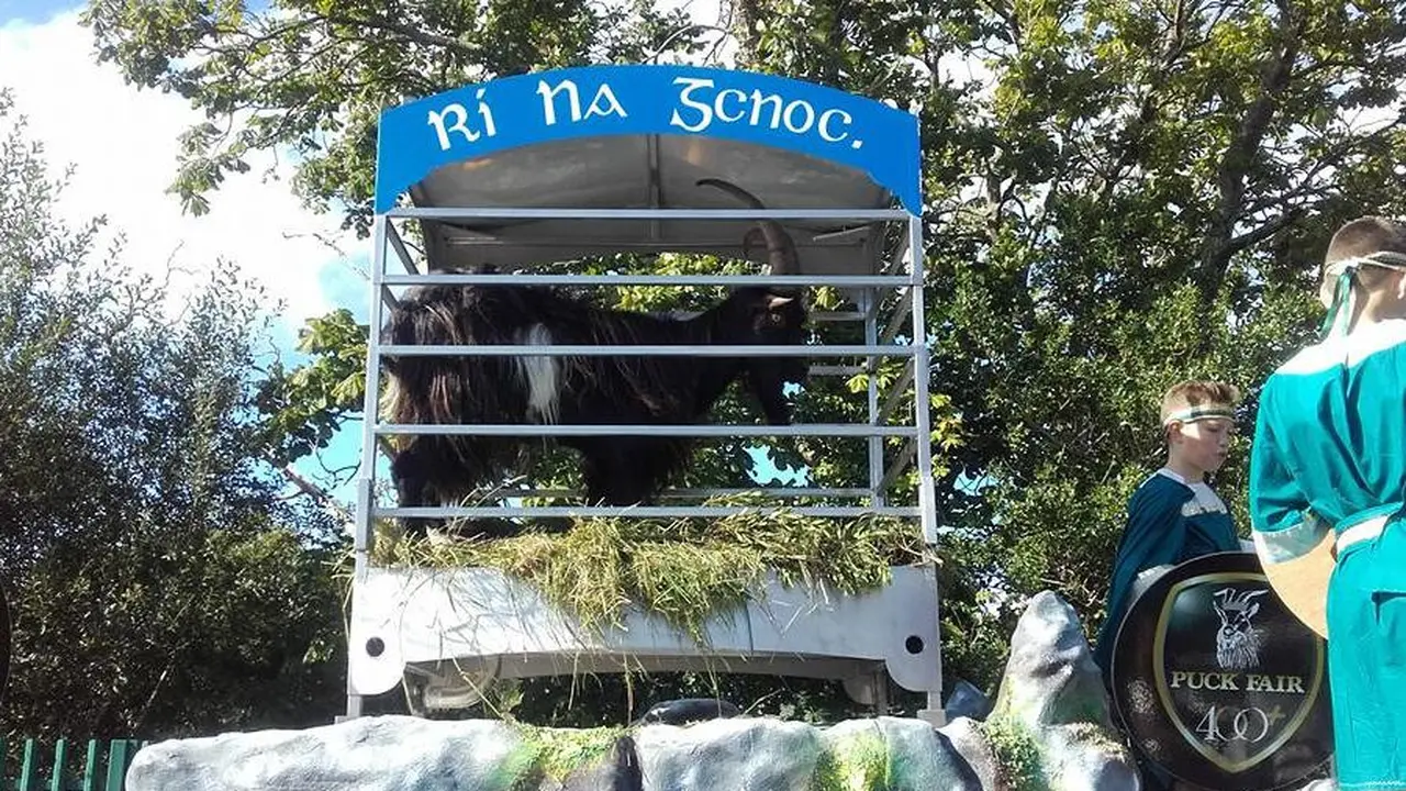 Festival Puck Fair yang memberikan mahkota raja kepada kambing di Irlandia. (http://puckfair.ie/)