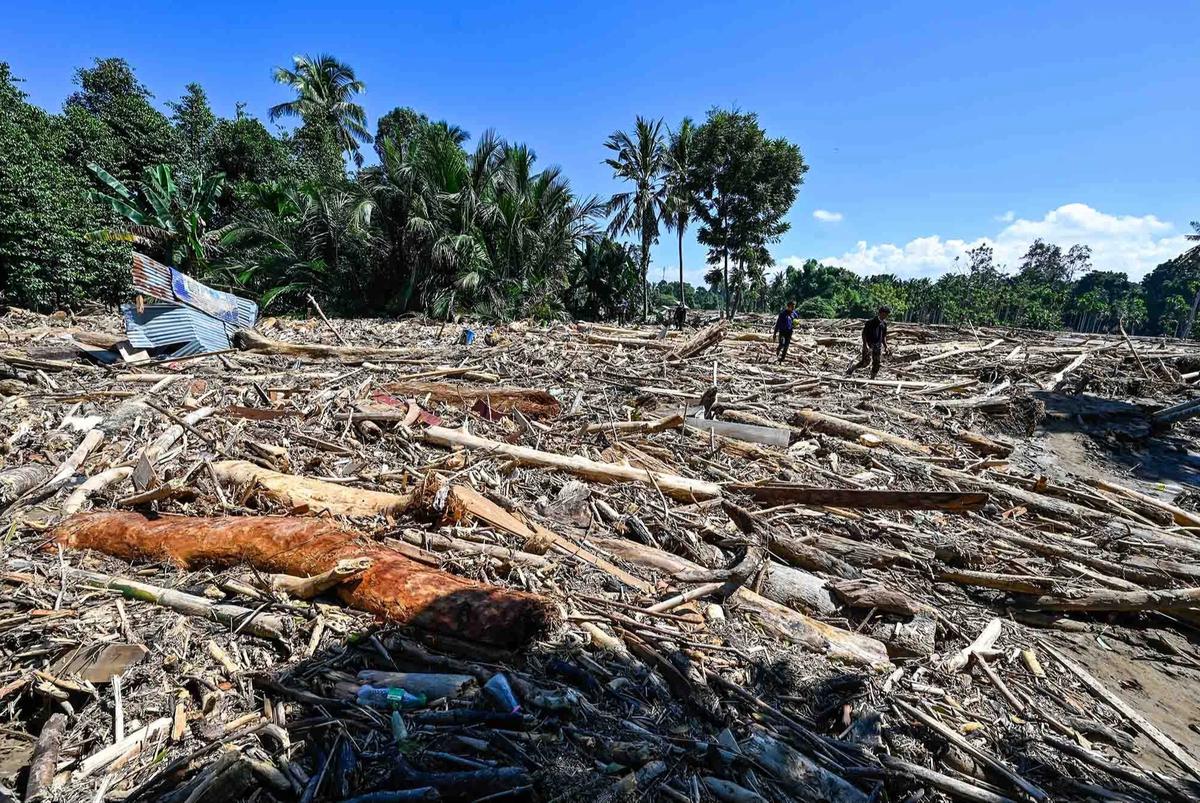 FOTO: Menyedihkan! Gajah Sumatera Ditemukan Tewas Terjebak Material Banjir Bandang di Pidie Jaya