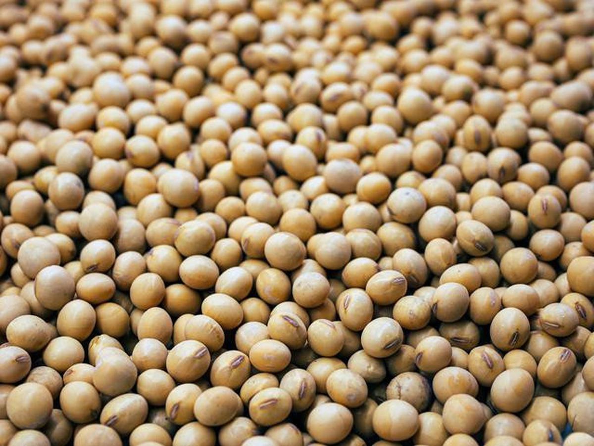Sayuran Tinggi Purin untuk Penderita Asam Urat, Ini Daftarnya yang Harus Dihindari