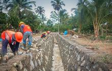Perkuat Swasembada Pangan, Brantas Abipraya Garap Rehabilitasi Irigasi Lampung
