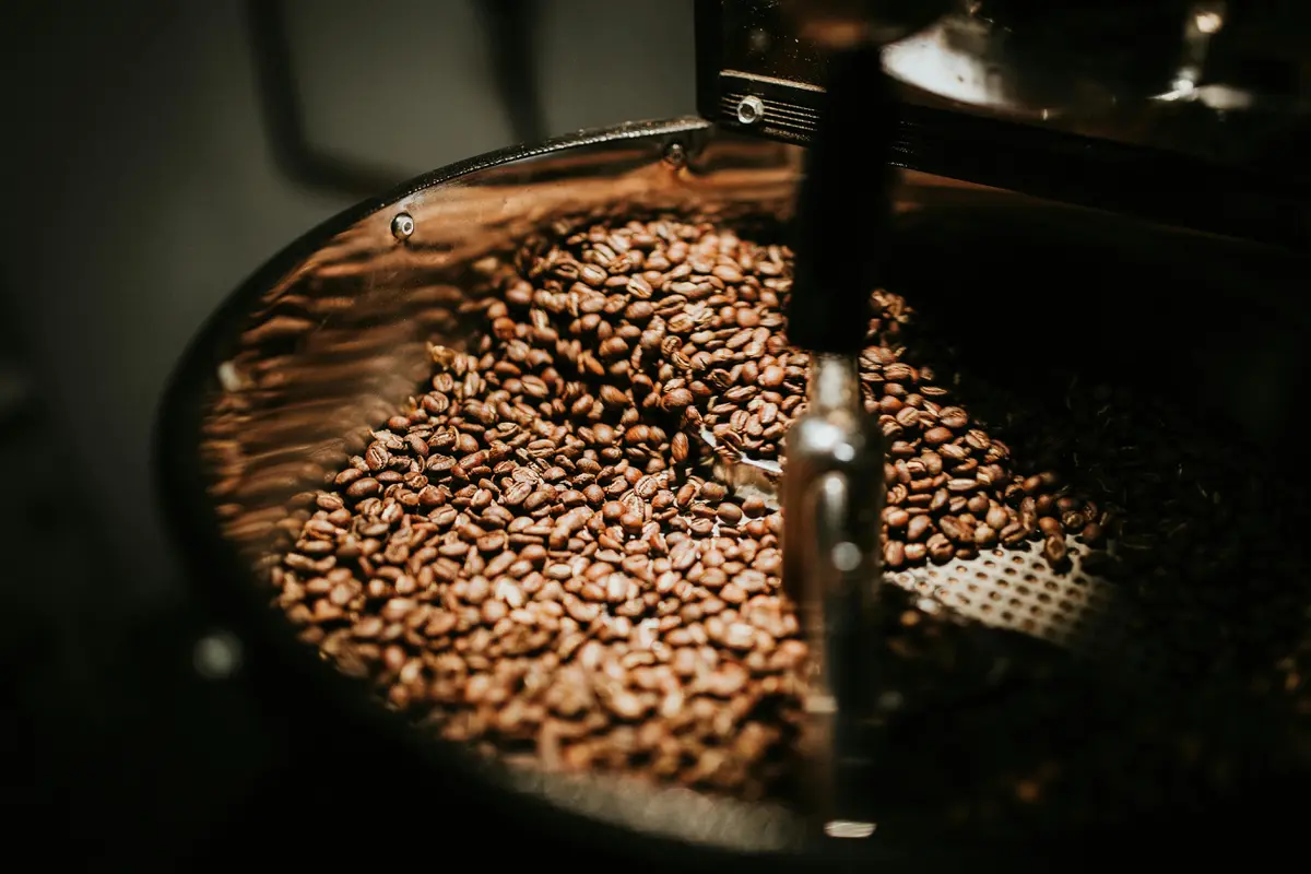 Biji Kopi yang Beragam