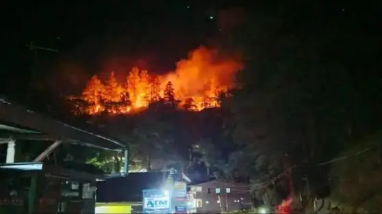 Kebakaran Hutan Sulsel Capai 1.613 Hektare, Enrekang Terparah