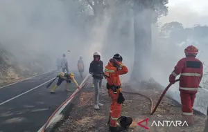 Lahan di Jalur Utama Selatan Cianjur Terbakar